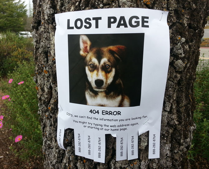 404 ERROR : OOPS, we can’t find the information you are looking for. You might try typing the web address again, or starting at our home page.